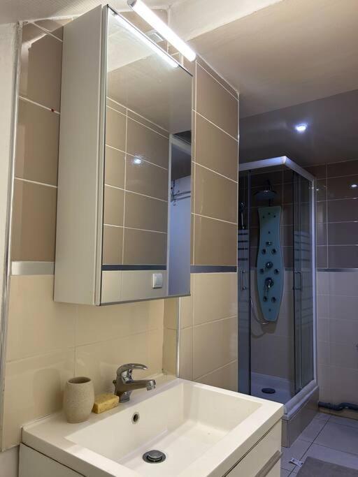 Cosy Studio - 10 Min Away From Cdg Aeroport - 30 Min Away From Paris - Parc Asterix - Olympic Games 2024 Le Thillay Extérieur photo